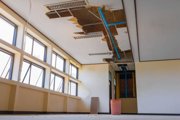 Best Flood damage cleanup  in Clovis, NM