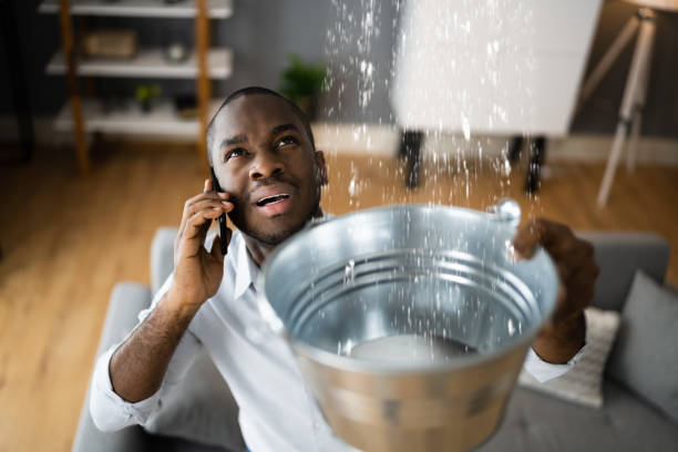 Best Water damage restoration process  in Clovis, NM