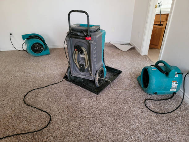  Clovis, NM Water damage restoration Pros