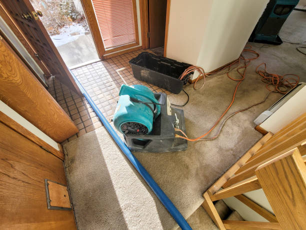 Best Flood restoration services  in Clovis, NM