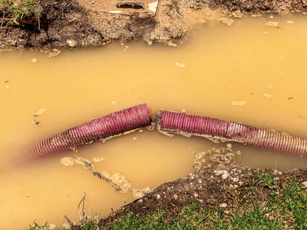 Best Residential water damage restoration  in Clovis, NM