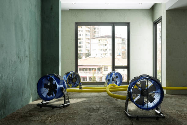 Best Water damage restoration near me  in Clovis, NM