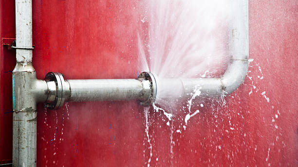 Best Professional water damage repair  in Clovis, NM